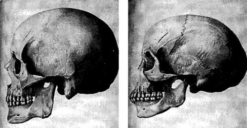 Иллюстрация к книге — Мутанты [i_061.jpg]