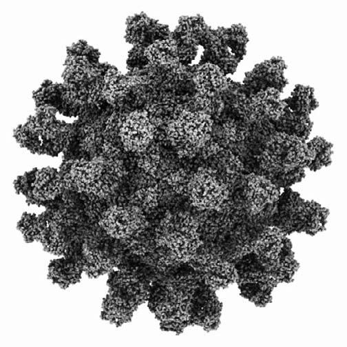 Иллюстрация к книге — Удивительная генетика [i_035.jpg]