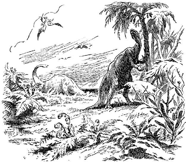 Иллюстрация к книге — Удивительная генетика [i_054.jpg]