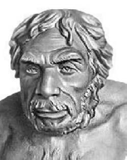 Иллюстрация к книге — Удивительная генетика [i_060.jpg]