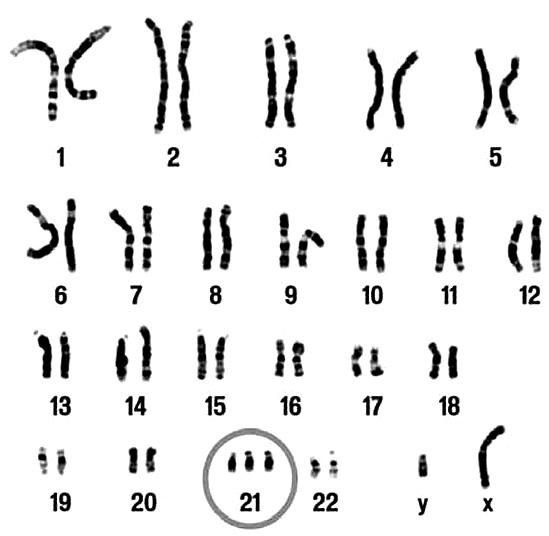 Иллюстрация к книге — Удивительная генетика [i_075.jpg]