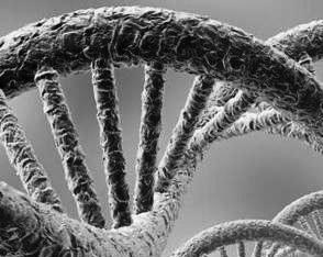 Иллюстрация к книге — Удивительная генетика [i_077.jpg]