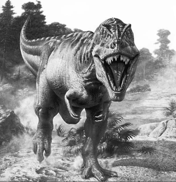 Иллюстрация к книге — Удивительная генетика [i_086.jpg]