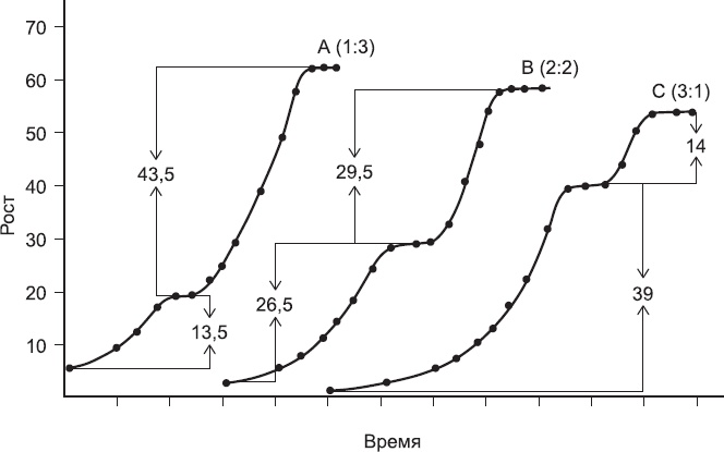 Иллюстрация к книге — Закон &quot;джунглей&quot;. В поисках формулы жизни [_13.jpg]