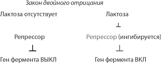 Иллюстрация к книге — Закон &quot;джунглей&quot;. В поисках формулы жизни [_17.jpg]