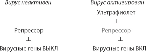 Иллюстрация к книге — Закон &quot;джунглей&quot;. В поисках формулы жизни [_18.jpg]