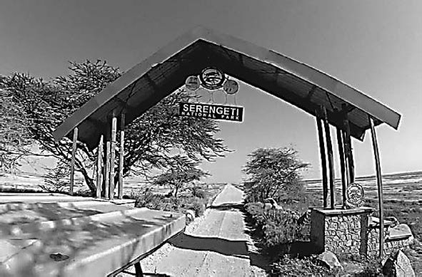 Иллюстрация к книге — Закон &quot;джунглей&quot;. В поисках формулы жизни [_2.jpg]