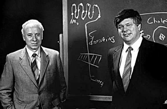 Иллюстрация к книге — Закон &quot;джунглей&quot;. В поисках формулы жизни [_26.jpg]