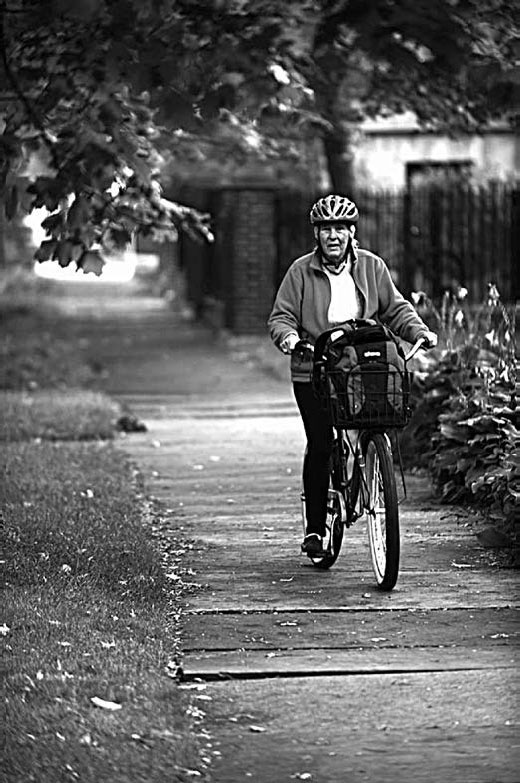 Иллюстрация к книге — Закон &quot;джунглей&quot;. В поисках формулы жизни [_27.jpg]