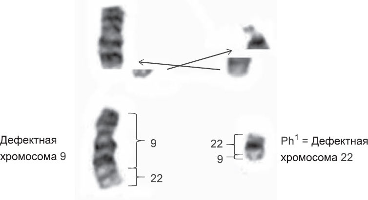 Иллюстрация к книге — Закон &quot;джунглей&quot;. В поисках формулы жизни [_28.jpg]