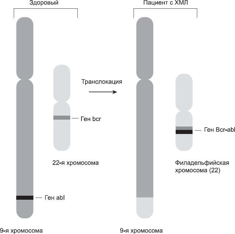 Иллюстрация к книге — Закон &quot;джунглей&quot;. В поисках формулы жизни [_29.jpg]