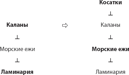 Иллюстрация к книге — Закон &quot;джунглей&quot;. В поисках формулы жизни [_37.jpg]