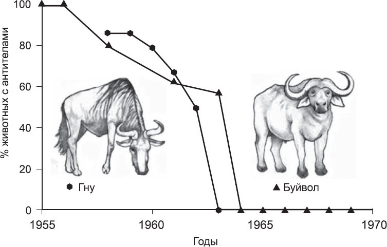 Иллюстрация к книге — Закон &quot;джунглей&quot;. В поисках формулы жизни [_40.jpg]