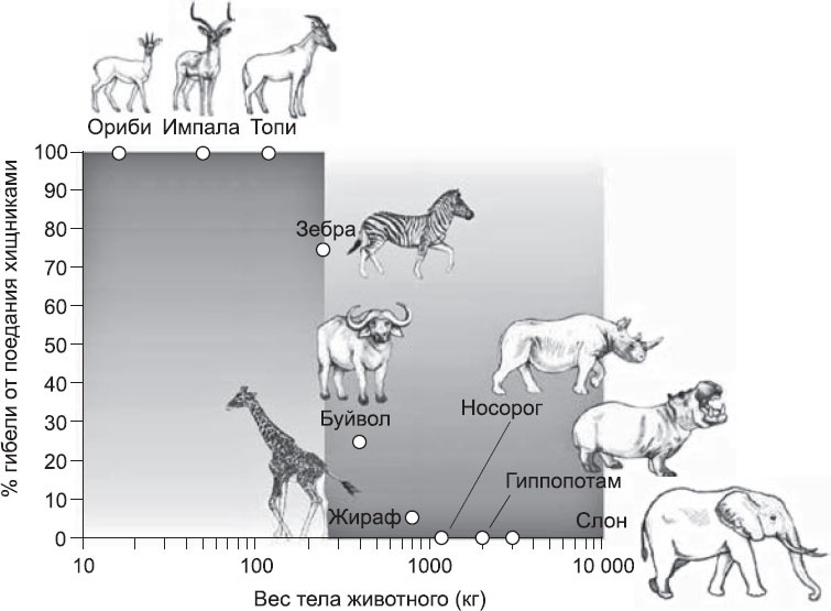 Иллюстрация к книге — Закон &quot;джунглей&quot;. В поисках формулы жизни [_45.jpg]