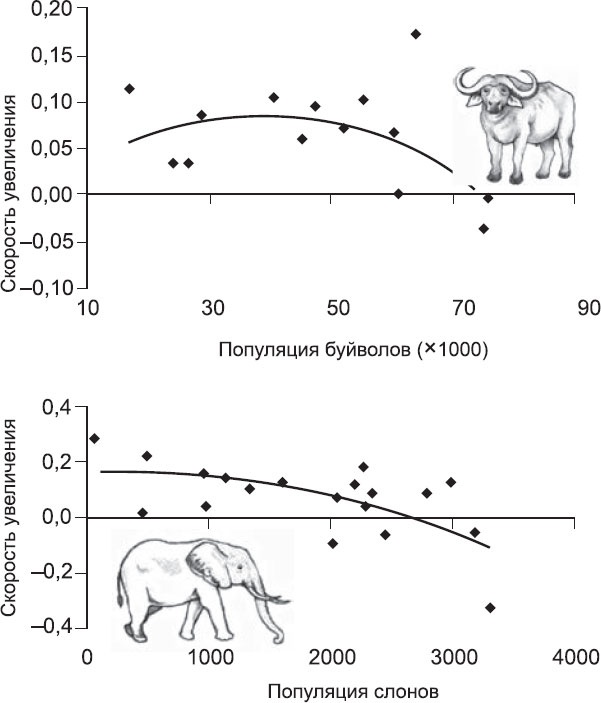 Иллюстрация к книге — Закон &quot;джунглей&quot;. В поисках формулы жизни [_46.jpg]