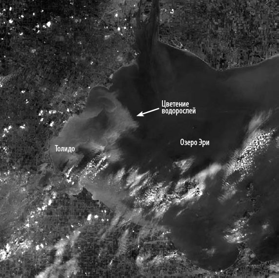 Иллюстрация к книге — Закон &quot;джунглей&quot;. В поисках формулы жизни [_49.jpg]