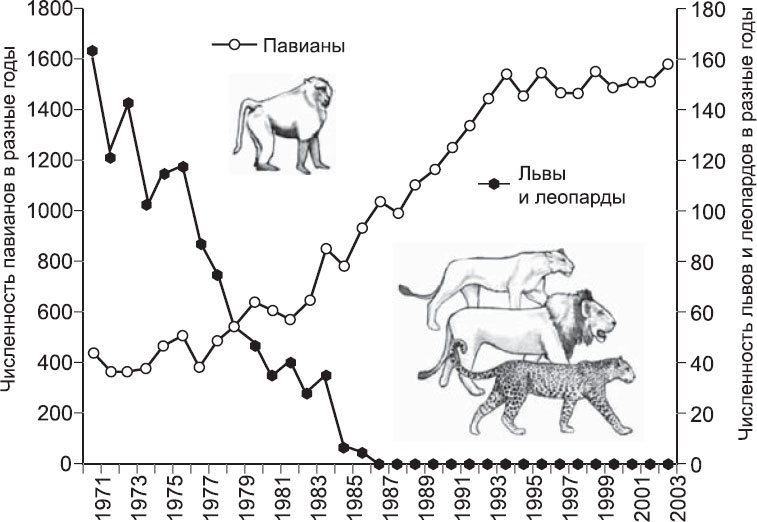 Иллюстрация к книге — Закон &quot;джунглей&quot;. В поисках формулы жизни [_51.jpg]