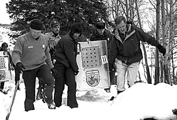 Иллюстрация к книге — Закон &quot;джунглей&quot;. В поисках формулы жизни [_55.jpg]