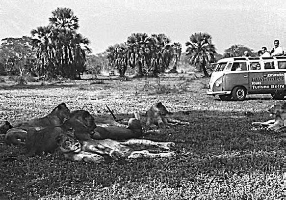 Иллюстрация к книге — Закон &quot;джунглей&quot;. В поисках формулы жизни [_57.jpg]