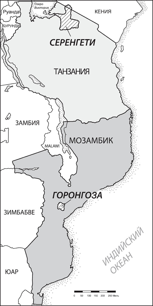 Иллюстрация к книге — Закон &quot;джунглей&quot;. В поисках формулы жизни [_58.jpg]