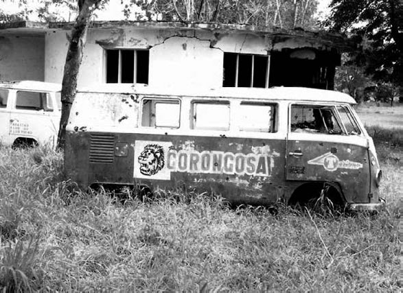 Иллюстрация к книге — Закон &quot;джунглей&quot;. В поисках формулы жизни [_59.jpg]