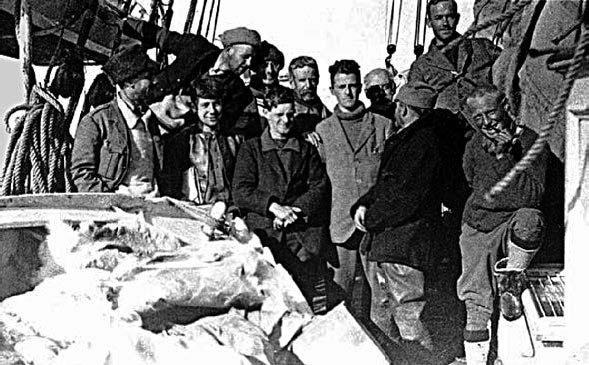 Иллюстрация к книге — Закон &quot;джунглей&quot;. В поисках формулы жизни [_7.jpg]