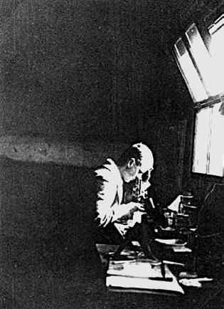 Иллюстрация к книге — Закон &quot;джунглей&quot;. В поисках формулы жизни [_8.jpg]