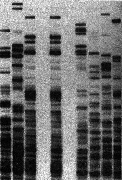 Иллюстрация к книге — Приспособиться и выжить! ДНК как летопись эволюции [i_001.jpg]