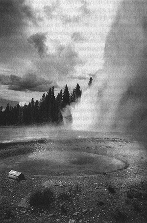 Иллюстрация к книге — Приспособиться и выжить! ДНК как летопись эволюции [i_018.jpg]