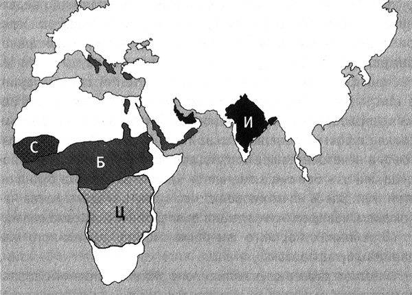 Иллюстрация к книге — Приспособиться и выжить! ДНК как летопись эволюции [i_060.jpg]