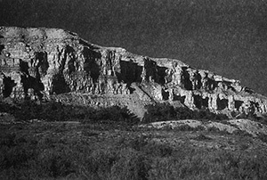 Иллюстрация к книге — Приспособиться и выжить! ДНК как летопись эволюции [i_078.jpg]