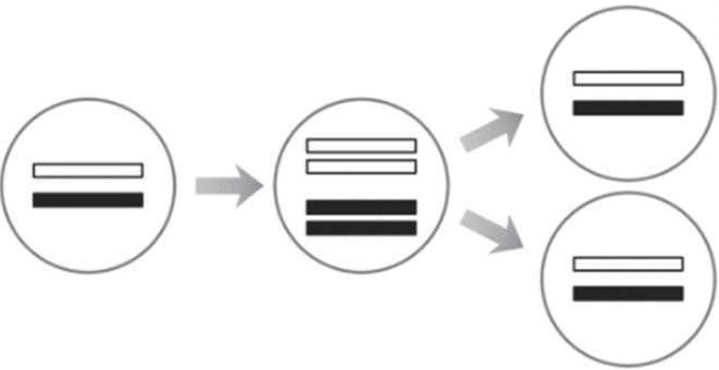 Иллюстрация к книге — Мусорная ДНК. Путешествие в темную материю генома [i_015.jpg]