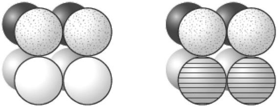 Иллюстрация к книге — Мусорная ДНК. Путешествие в темную материю генома [i_018.jpg]