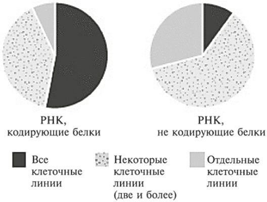 Иллюстрация к книге — Мусорная ДНК. Путешествие в темную материю генома [i_040.jpg]