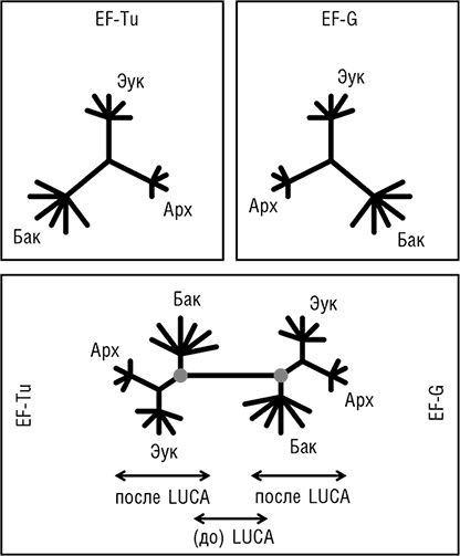 Иллюстрация к книге — Логика случая. О природе и происхождении биологической эволюции [i_007.jpg]