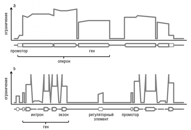 Иллюстрация к книге — Логика случая. О природе и происхождении биологической эволюции [i_015.jpg]