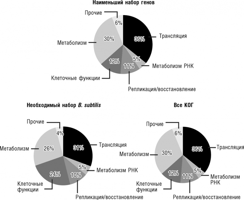 Иллюстрация к книге — Логика случая. О природе и происхождении биологической эволюции [i_019.jpg]