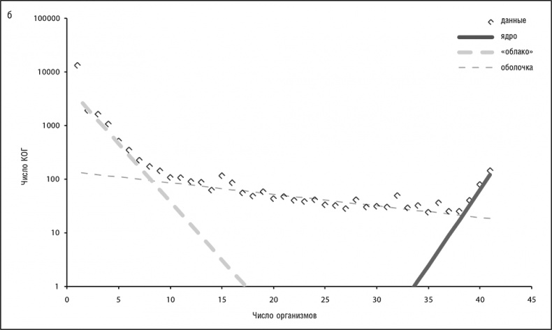 Иллюстрация к книге — Логика случая. О природе и происхождении биологической эволюции [i_023.jpg]