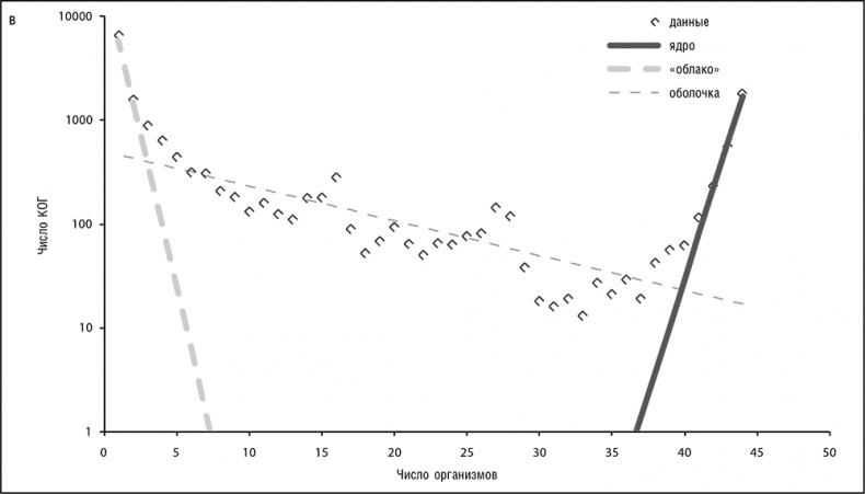 Иллюстрация к книге — Логика случая. О природе и происхождении биологической эволюции [i_024.jpg]