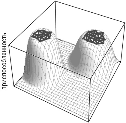 Иллюстрация к книге — Логика случая. О природе и происхождении биологической эволюции [i_031.jpg]