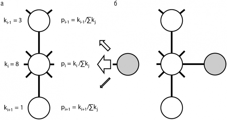 Иллюстрация к книге — Логика случая. О природе и происхождении биологической эволюции [i_036.jpg]
