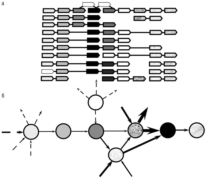 Иллюстрация к книге — Логика случая. О природе и происхождении биологической эволюции [i_040.jpg]