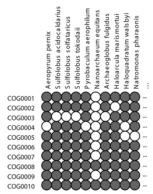 Иллюстрация к книге — Логика случая. О природе и происхождении биологической эволюции [i_042.jpg]