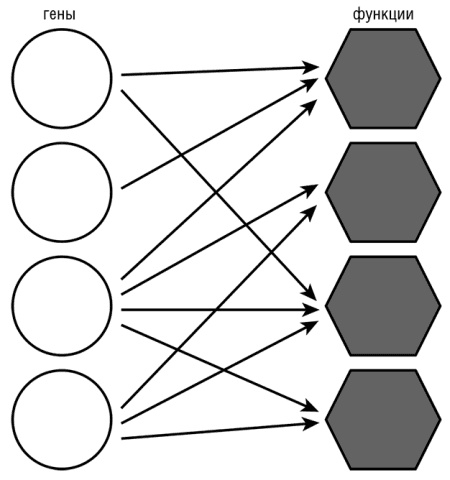 Иллюстрация к книге — Логика случая. О природе и происхождении биологической эволюции [i_045.jpg]
