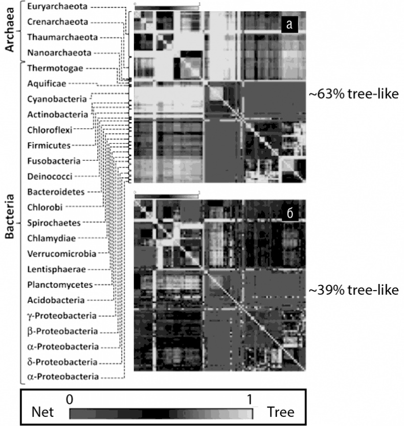 Иллюстрация к книге — Логика случая. О природе и происхождении биологической эволюции [i_052.jpg]