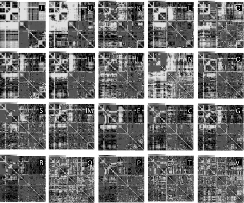 Иллюстрация к книге — Логика случая. О природе и происхождении биологической эволюции [i_053.jpg]