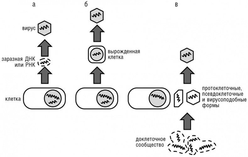 Иллюстрация к книге — Логика случая. О природе и происхождении биологической эволюции [i_089.jpg]