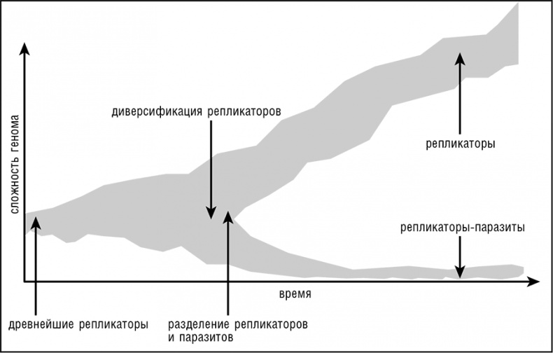Иллюстрация к книге — Логика случая. О природе и происхождении биологической эволюции [i_090.jpg]