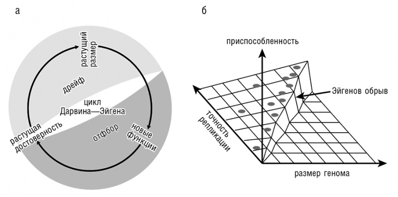 Иллюстрация к книге — Логика случая. О природе и происхождении биологической эволюции [i_094.jpg]