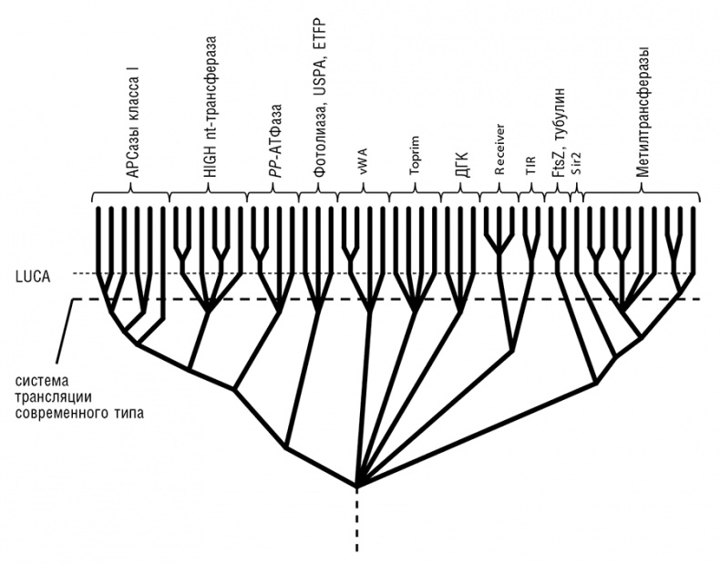 Иллюстрация к книге — Логика случая. О природе и происхождении биологической эволюции [i_095.jpg]